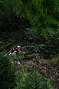 BIB: 
                            <button type="button" onclick="openModal(16030208)" class="btn btn-primary btn-sm float-right btn-popup" data-toggle="modal" data-target=".modal-high-quality">
                        <i class="fas fa-shopping-cart"></i> Add to Cart
                    </button>
                                            <button type="button" onclick="isThisMe(16030208, true)" class="btn btn-success btn-sm float-right btn-popup btn-isme hidden" data-toggle="tooltip" data-placement="bottom" title="นี่คือรูปของคุณใช่ไหม คลิกที่นี่เพื่อเอาเข้าอัลบั้ม">
                        <i class="fas fa-plus"></i> Add to album
                    </button>
                    <button type="button" onclick="isThisMe(16030208, false)" class="btn btn-warning btn-sm float-right btn-popup btn-isnotme hidden">
                        <i class="fas fa-ban"></i> Remove from album
                    </button>